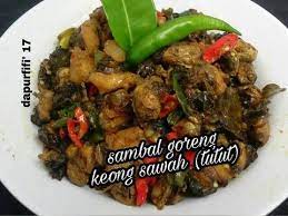 Resep Sambal Goreng Tutut Oleh Dwi W Recipe Kari Resep Tumis