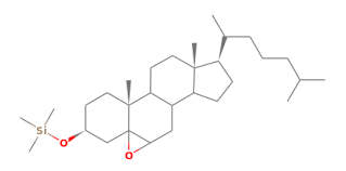 We did not find results for: 5 6 Epoxy Cholesterol Tms