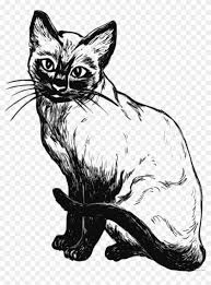 Cat clipart black and white. Cat Clipart Black And White Png Sahara