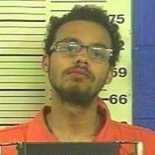 York man pleads guilty to fatal park shooting