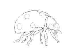 7月 のおすすめの 無料塗り絵 ダウンロードサイト とそれぞれのサイトの夏の塗り絵 54枚 を紹介します。 このサイトは、何人もの塗り絵作家さんが出品しているので、 描く画風や世界観がバラエティ豊か なんです。 ã¬ã‚Šãˆ ç´ æ å¤ ã‚¤ãƒ©ã‚¹ãƒˆç„¡æ–™