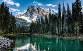 Download Wallpapers Mountain Lake Forest Spring Emerald Lake Rocks Alps Italy Mountain Landscape For Desktop Free Pictures For Desktop Free