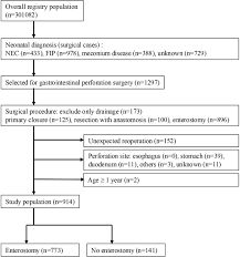 Image result for Enterostomy