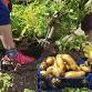 Edible Campus garden session at St Mary’s event in St Andrews