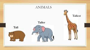 Check spelling or type a new query. Latihan Soal Degree Comparison Dan Pembahasannya Youtube