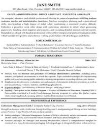 10+ resume summary examples  tng
