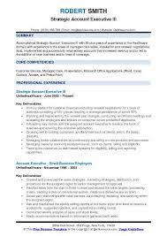 Strategic Account Executive Resume Samples Qwikresume