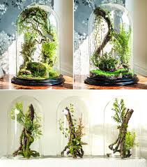Enchanted Forest Terrarium Domes Terrarium Domes Garden Terrarium Terrarium Decor