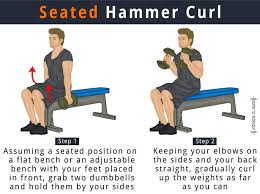 Set up an adjustable bench at 90° so you can sit on the end of the bench with your back against it. Seated Hammer Curls What Is It How To Do Benefits