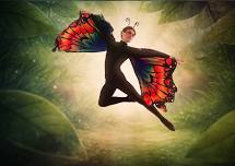 THE HUNGRY, HUNGRY CATERPILLAR
