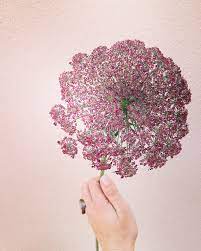 Locate your favorite store in your city. Calhoun Flower Farms