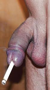 Enchanting Penis Insertion Images