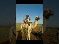 حمد بن ناصر العمار، الناشر: ØªØ­Ù…ÙŠÙ„ Ø§Ù„Ø´Ø§Ø¹Ø±Ø§Ø­Ù…Ø¯Ø¹Ø¨Ø¯Ø§Ù„Ù„Ù‡ Ø§Ù„Ø¬Ø±Ø§Ø±ÙŠ Mp3 Mp4