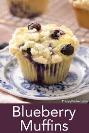 Blueberry Muffins Preppy Kitchen Fall Baking Recipes Blue Berry Muffins Baking Recipes