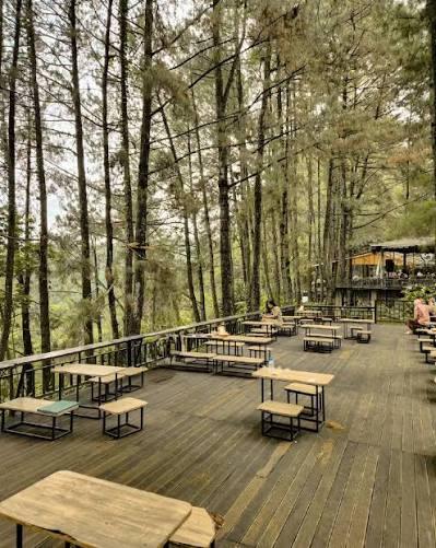 The Rainforest Table Bogor jadi resto paling viral 2026 berkat konsep hutan buatan. Simak menu andalan dan alasan wajib dikunjungi.