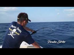 In strike sdn bhd | 24 seguidores en linkedin. Video Weng Ho Sports Sdn Bhd