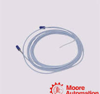 330930-060-03-05 Bently Nevada NSv Extension Cable