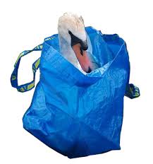 Swan Inside An Ikea Blue Bag Not A Balenciaga Bag