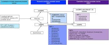 Image result for Prostate Cancer Management