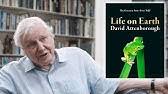 The film, which serves as attenborough's witness statement for the natural world, will launch globally. David Attenborough Mein Leben Auf Unserem Planeten Kritik Review 2020 Netflix Youtube