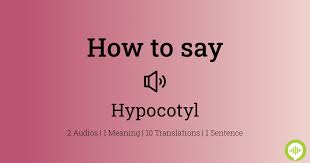 How To Pronounce Cotyledon In American English - Youtube