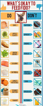Dog Food Infographic Can Dogs Eat Dog Food Recipes Pets