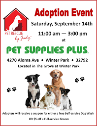 Hire orlando home pet sitting. Events