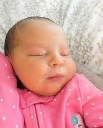 Blair Jamison (@bscanjam) • Instagram photos and videos