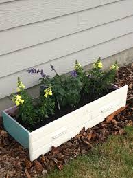 My Old Dresser Drawer Planter Old Dresser Drawers Dresser Drawers Diy Garden Bed