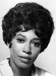 A tribute to Diana Sands “Please look at me!…”