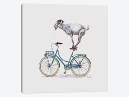 5 out of 5 stars. Goat On Bicycle Art Print By Carolynn Elshof Icanvas