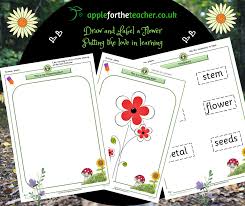 Maybe you would like to learn more about one of these? Draw A Flower And Label Apple For The Teacher Ltd