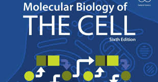 Download free pdf epub books. Ebooks4pro Biology Molecular Biology Of The Cell 6th Edition