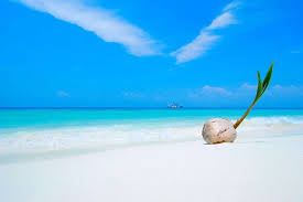 Pulau lang tengah) is an island in kuala nerus district, terengganu, malaysia. Lang Tengah Island Malaysia Era Holidays
