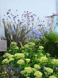 Phormium Sedums In 2020 Garden Design Cornwall Garden Garden Planning