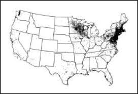 Dm and uncontrolled glycemia were reported as. Diagnosis And Treatment Of Lyme Disease Mayo Clinic Proceedings