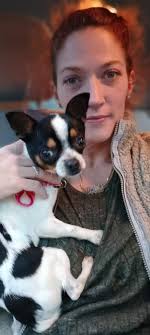 Lost dog found in Greenville, South Carolina