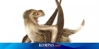Punya 4 Jenis Bulu Ini Rupa Asli Reptil Purba Pterosaurus Arti warna merah biru hijau kuning hitam ungu coklat orange pink putih emas, abu abu tua. rupa asli reptil purba pterosaurus