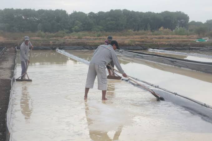 Industri Cirebon 7