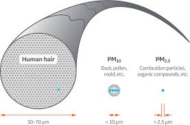 Although pm is measured at many thousands of locations throughout the world, the amount of annual urban mean concentration of pm2.5 is estimated with improved modelling using data. Pm2 5 Beyond Respiratory Health Cytiva Formerly Ge Healthcare Life Sciences