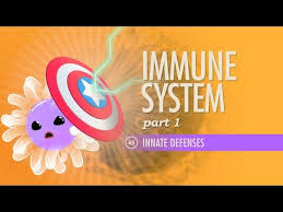 Immune System Part 1 Crash Course A P 45 Immune System Lesson Crash Course Anatomy And Physiology