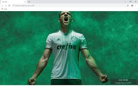 Access all the information, results and many more stats regarding palmeiras by the second. Palmeiras New Tab Wallpapers Collection