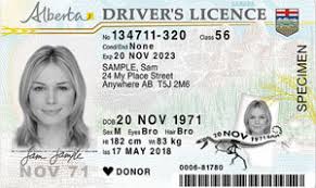 Get your driving record the drivers license check will only tell you the current status of your drivers license. Alberta Driving Test Practice Learners Test Prep 2021