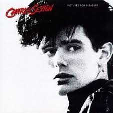 Pictures for Pleasure