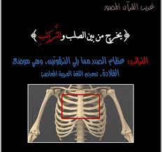 pin on الاسلام