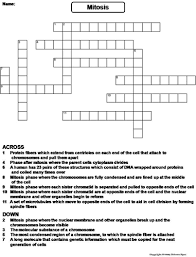 Wong with eclipsecrossword © 2003; Science Spot Teaching Resources Tes