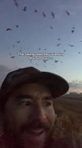 Captivating Moments with Snow Geese in Nature