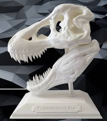 T Rex Skull Model T Rex Skull Amtech3d Amtech3dprinting 3dprinting 3d 3dtechnology Technology Egypt Thisisegypt Aditivemanuf In 2020 Skull Model Egypt Prints