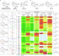 Image result for Extended Spectrum Macrolide