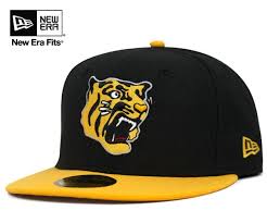 Make a statement without having to say a word when you accent your home with fully customizable pillows from zazzle. Pin On Hanshin Tigers é˜ªç¥žè™Ž